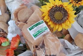 50° Sagra del Bastoncello Casareccio